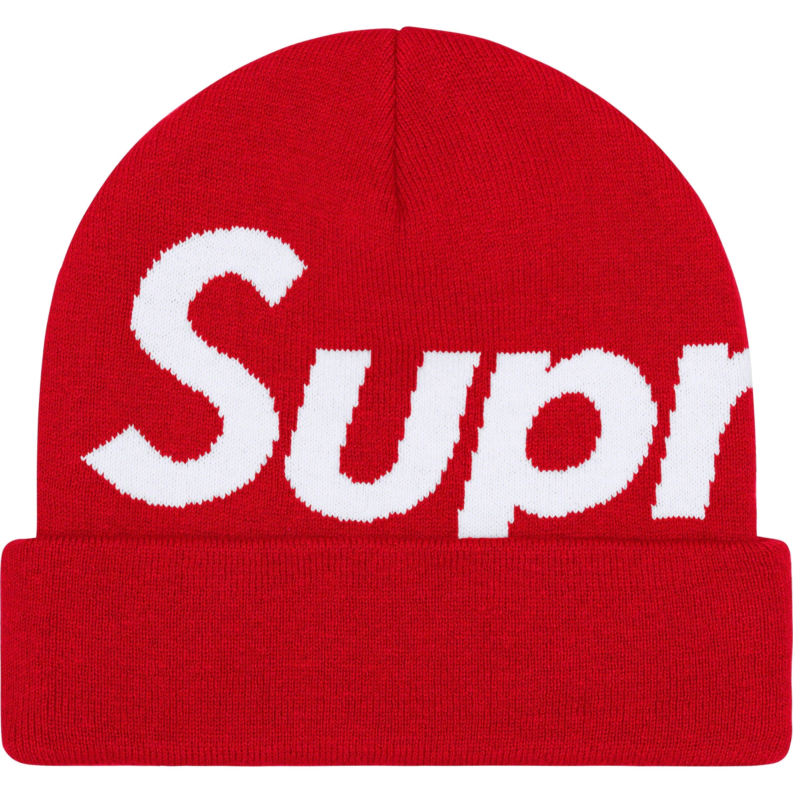 Big Logo Beanie view 18